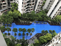 River Isles (D19), Condominium #242913451